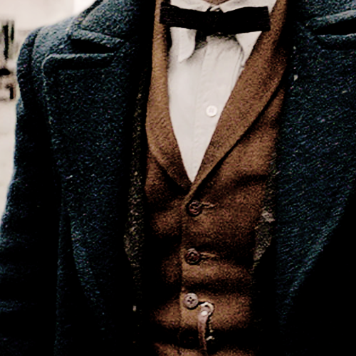 cedrcdiggcry:moodboards: newton artemis fido ‘newt’ scamander