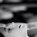 rrh90-2:aptal-kuzu-deactivated20220814:Insatiable, is the word that defines himShe
