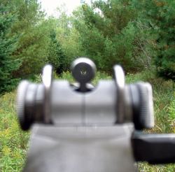 Revengeofthemudbutt:  Just-Remington:  Sights.  Best 