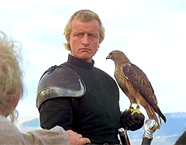 cinemamonamour:Rutger Hauer as Navarre in LadyhawkeTrivia: Richard Donner originally wanted to cast 