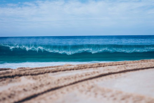 joeysamante:something I’ve been longing for