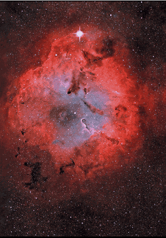 sixpenceee:This is the Elephant’s trunk nebula. A nebula is an interstellar cloud of dust, hydrogen,