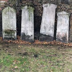haxanbroker: Headstones. St George’s Gardens, August 2018.
