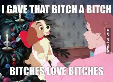 9gag:  Bitches love bitches! 