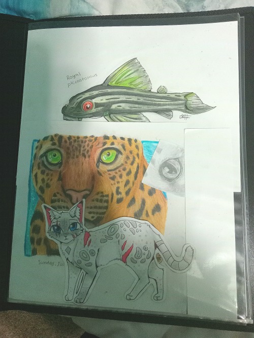 Art Folder