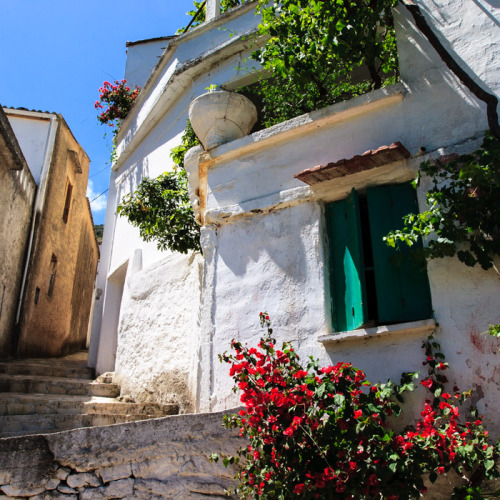 digbyfullam:Village house and flowers scene in Lappa, Crete.