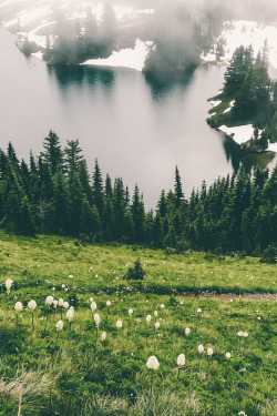 expressions-of-nature:  Eunice Lake, Washington by Karen Sykes