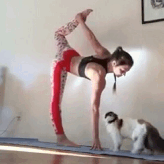fuckyeahyoga:  😭😭😭
