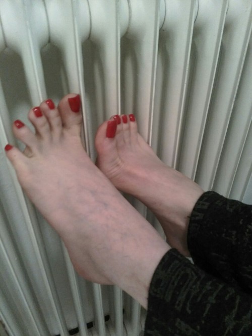 maturetransfeet: Beautiful feet with perfect toes that I would love to worship.