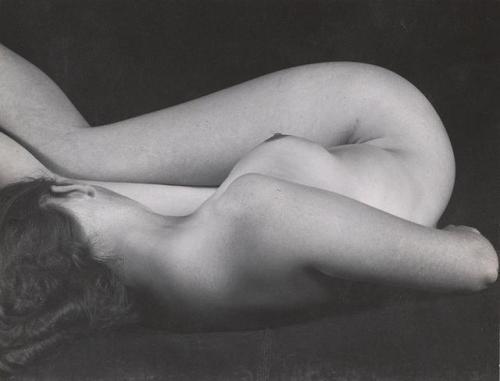 the–elusive–muse - Edward Weston - the greatest American...