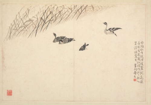 Album of Calligraphy and Paintings, Bian Shoumin, 18th Century, Cleveland Museum of Art: Chinese Art