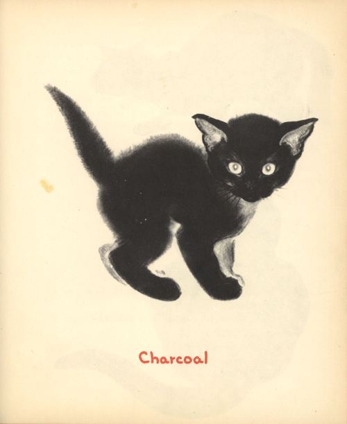 uwmspeccoll:The First Caturday in AprilApril’s Kittens, by noted author and illustrator of cats Clar