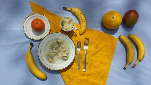 dolphinpoetry:dolphinpoetry picnic!