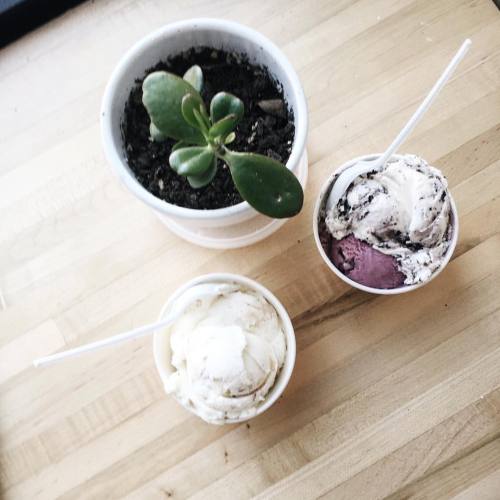 simplessence:Brown butter almond croissant ice cream and a well placed succulent life is bueno foll