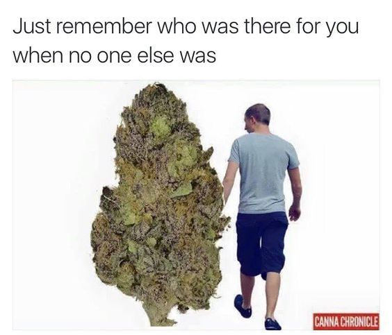 chroniclifestyle420:  Puff on some Chronic! Can You Smell It?