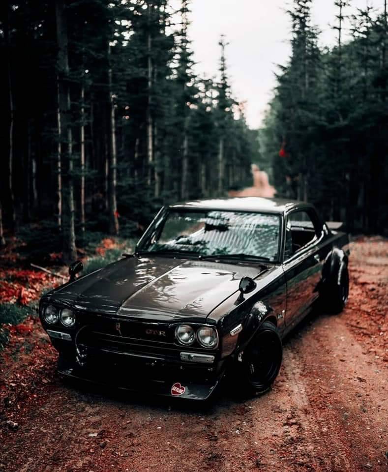 Sex 4theluvofwheels:Nissan Skyline…. Hakosuka pictures