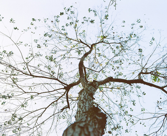 bonjour-ka:  佇立 by Waynele on Flickr.