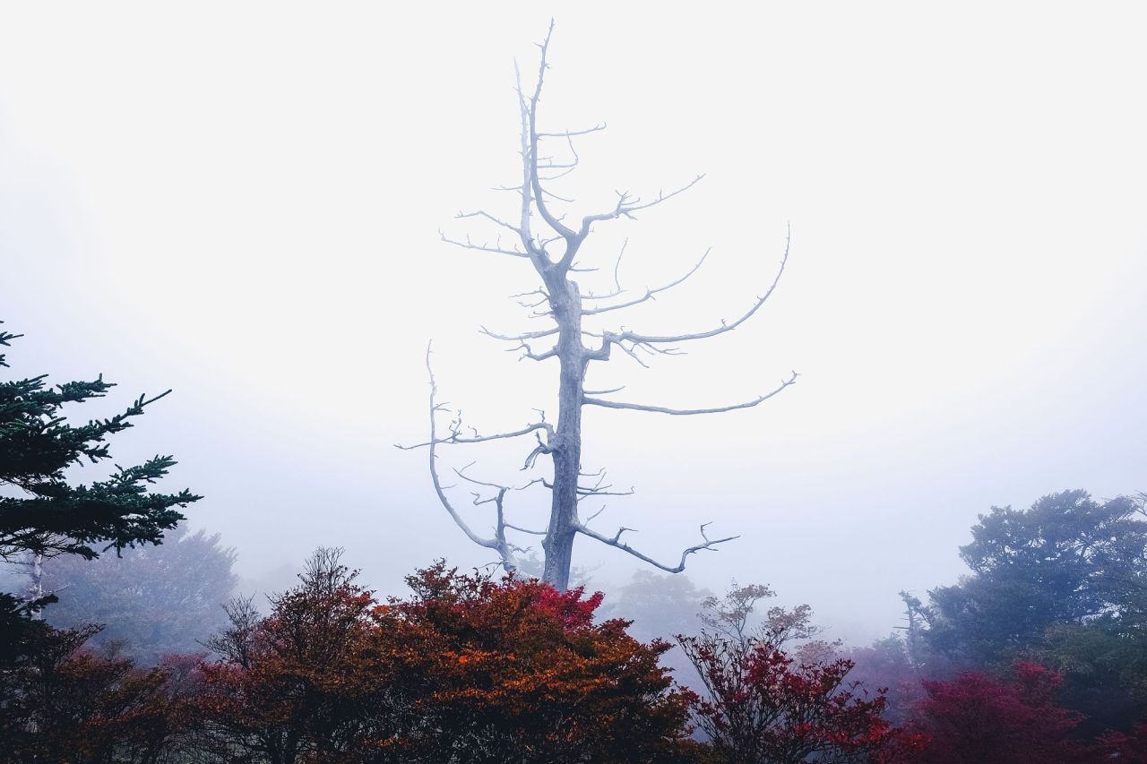ponderation:  Nature by PK.DVD         Photographer’s  Instagram | Facebook 