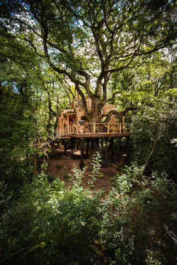 thedesigndome: Luxury Treehouse Hosts Modern Facilities Designed For Comfort The Woodman’s Treehouse is a luxurious cabin fitted with modern and spacious furnishing in a tree loft.  Keep reading 