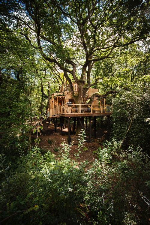 thedesigndome: Luxury Treehouse Hosts Modern Facilities Designed For Comfort The Woodman’s Tre