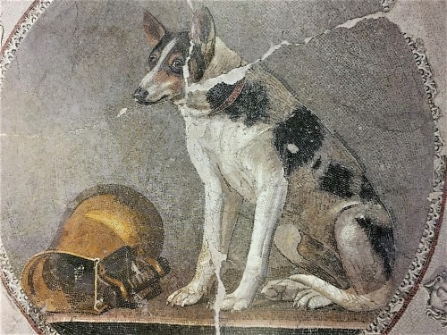 nathanielthecurious:caecilius-est-pater:arjuna-vallabha:An 2000 years old Egyptian floor mosaic depi