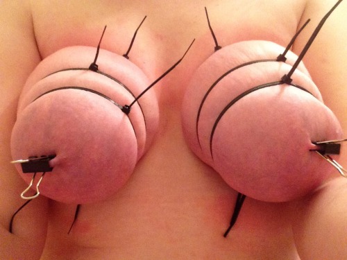 megandmrbig:  clipsnpins:  Experimenting with zip ties!  Ooooh, zip ties could be fun ;-x  😀