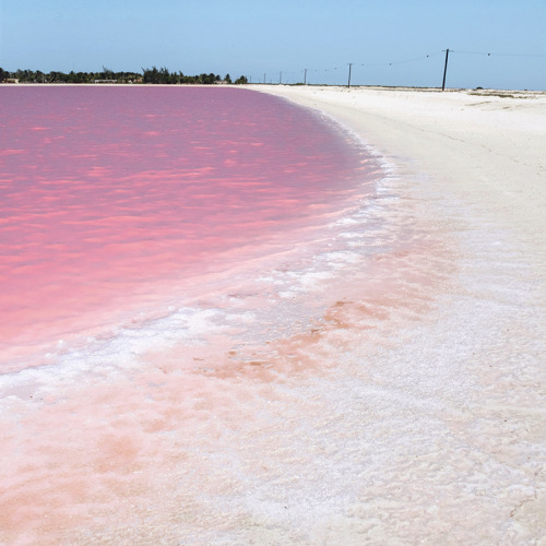 Porn studiovq: Pink lakes filled with salt. The photos