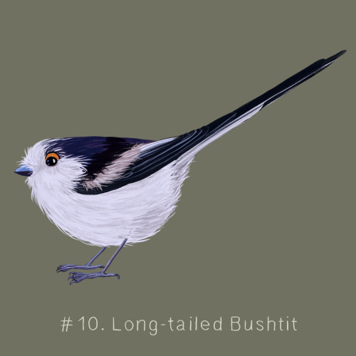 100 Weird Birds: Day 10The Long-tailed Bushtit for day 10 of my 100 Weird Birds project. The Long-ta