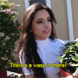 Camila And Her Flowers