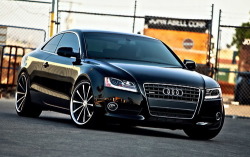 you-all-will-die:  Audi ♥