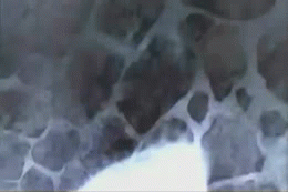 one-day-i-will-fly:  ((But this is probably my favorite gif I made))