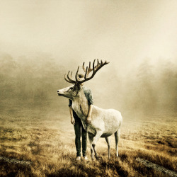 martinstranka:  “Wait A Little Longer” www.martinstranka.com