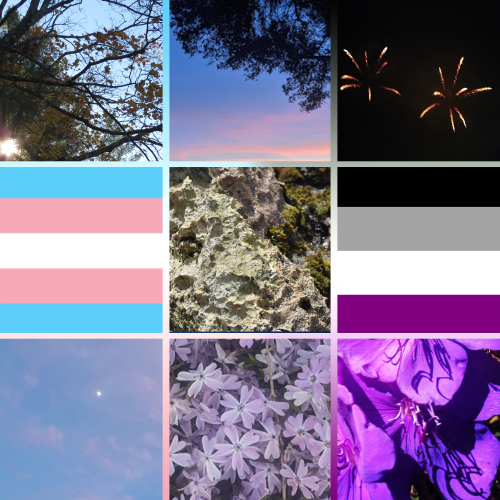 Trans ace moodboard! For the trans acesAll images used are my own, please credit if you re-use and d