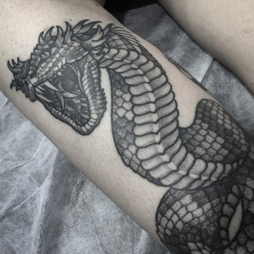 Closer look at the healed Basilisk @flttattoostudio (at FLT Tattoo Studio)