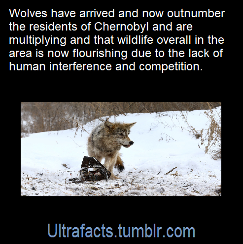 XXX ultrafacts: Source: [x] Click HERE for more photo