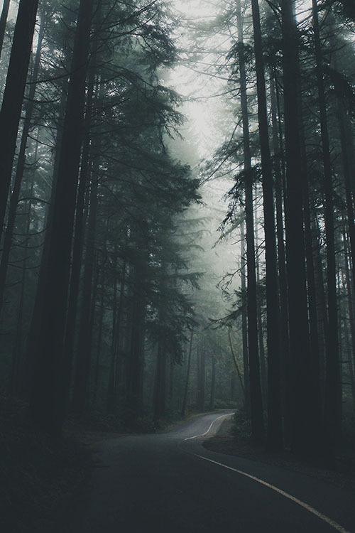 aestum: lost in the dream (by ZacharySnellenberger) | {Tumblr}
