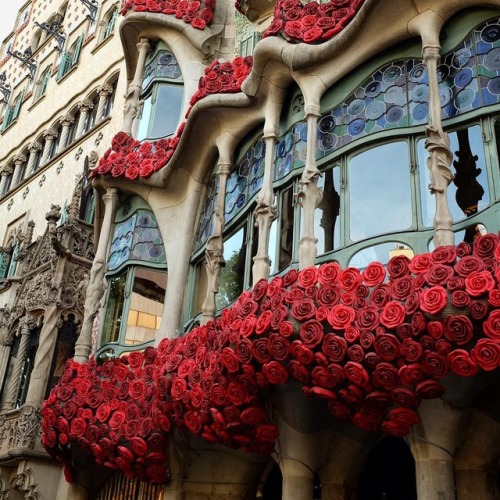 Casa Batlló | by David Marti