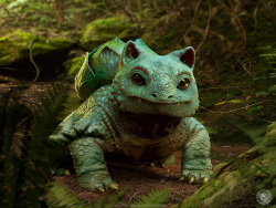 retrogamingblog:  Realistic Bulbasaur Evolution made by Joshua Dunlop