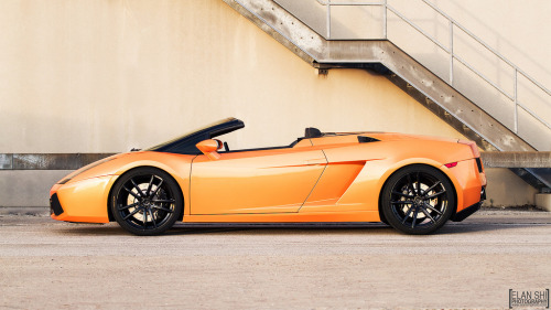 Gallardo.