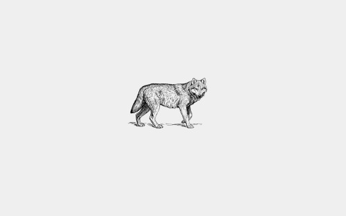 parrichadam-deactivated20180827: House Stark - minimalist 