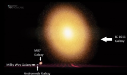 sixpenceee:  The largest known galaxy in width, IC 1011, in comparison with our Milky Way galaxy and neighbors