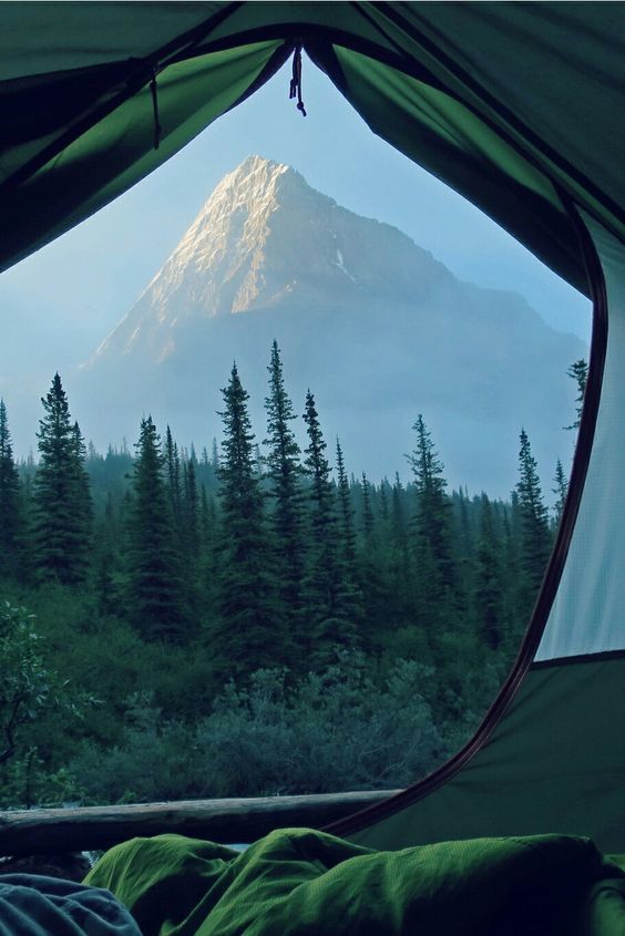 brookbooh:  Less comfort, more life.