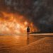 karlrincon:Let’s talk about what’s happening in Australia, which is suffering its worst bushfire season in recorded history.This almost unimaginable catastrophe has killed half a billion animals with more than 14.5 million acres burned and released