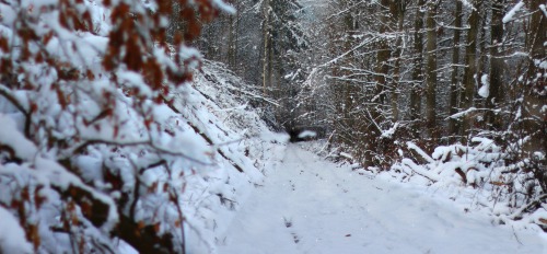 All Pictures took/edited by myself
