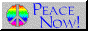 a grey button with blue text that reads 'PEACE NOW!' with a rainbow peace sign on the left