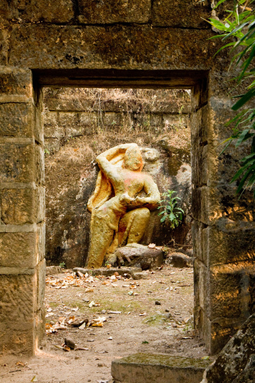 Hanuman at Bandhavgarh National Park, Madhya Pradesh