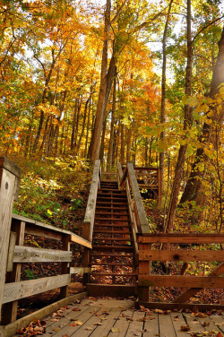 burning-soul:  Clifty Falls State Park 