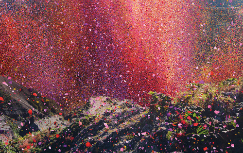 from89:  from89: Nick Meek photographs costa rica covered in flower petals for sony.  