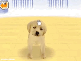 💛doggo Location Phone Guy Stimboard🐕