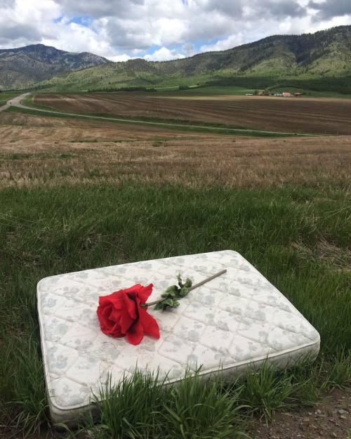 where6:by @aleia._ on instagram http://ift.tt/1YVQevJ